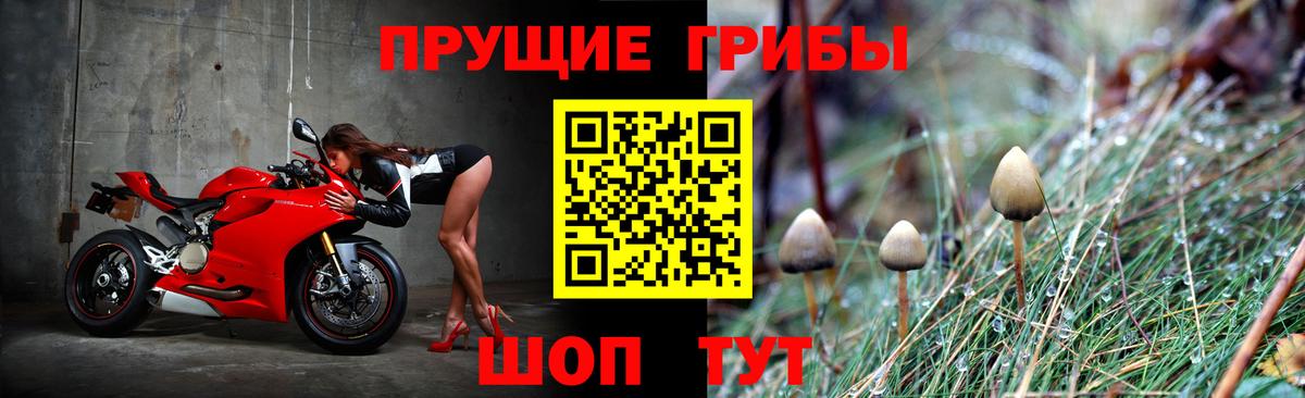 Галлюциногенные грибы Psilocybine cubensis Удомля